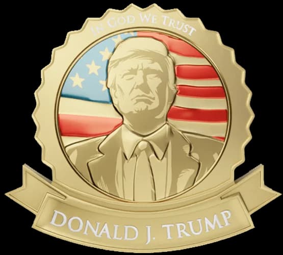 Trump Lapel Pin